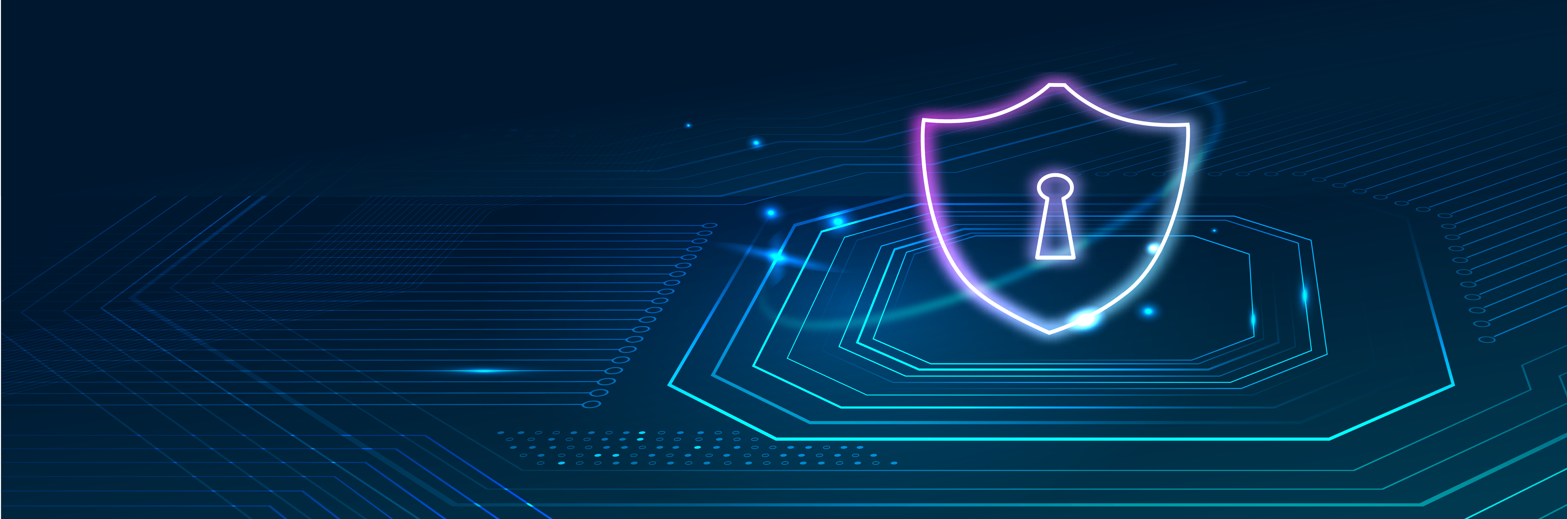 ventura box new zealand cyber security consulting services